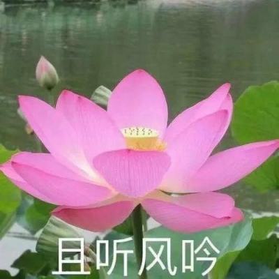 侠影刀剑录手游